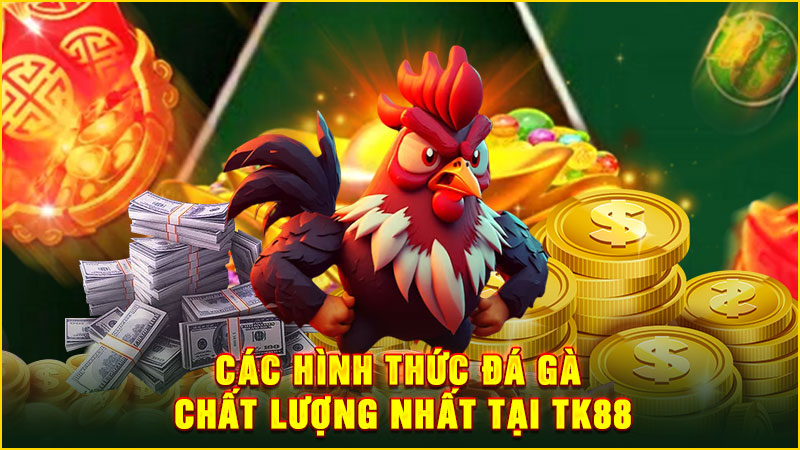 các hình thức đá gà chất lượng nhất tại tk88