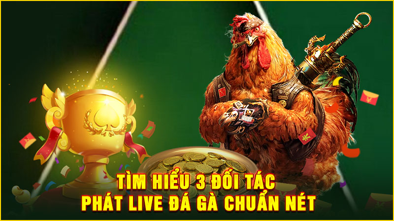 tìm hiểu 3 đối tác phát live đá gà chuẩn nét