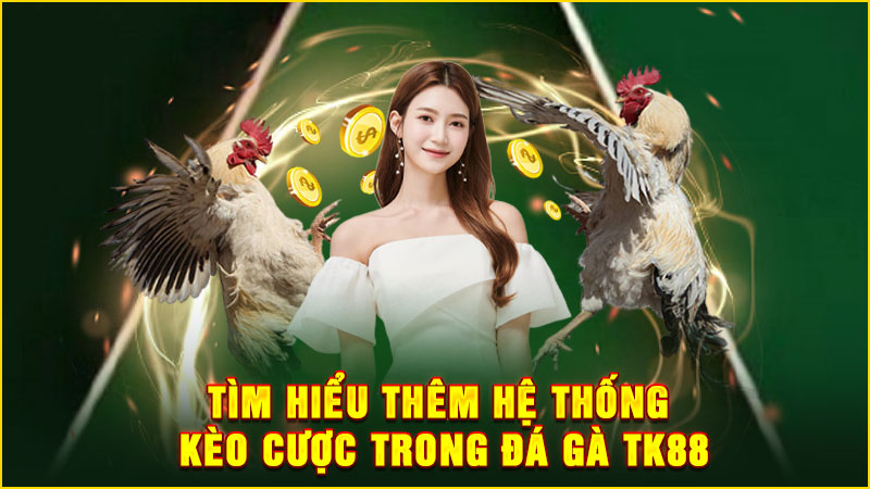 tìm hiểu thêm hệ thống kèo cược trong đá gà tk88
