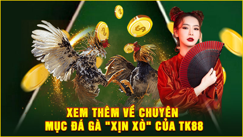 xem thêm về chuyên mục đá gà xịn xò của tk88